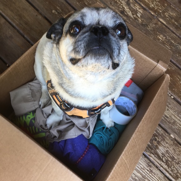 Shop for Igor - Picture 2 of 4